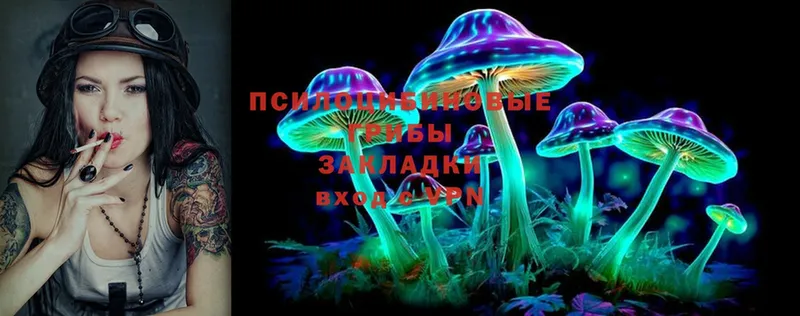 Псилоцибиновые грибы MAGIC MUSHROOMS  купить   Ржев 